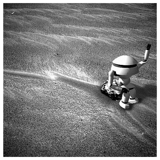 bot on Mars rock